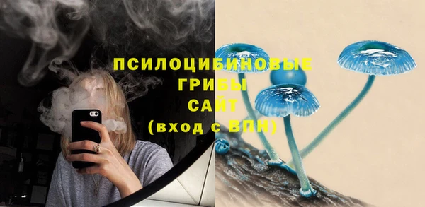 гашик Беломорск