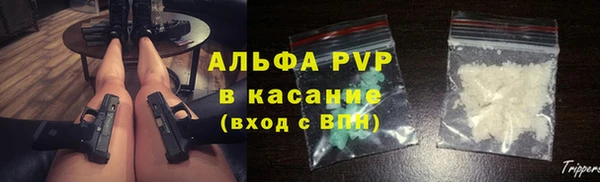PSILOCYBIN Белокуриха