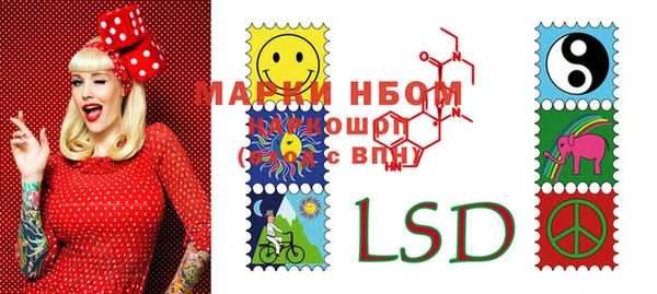 PSILOCYBIN Белокуриха
