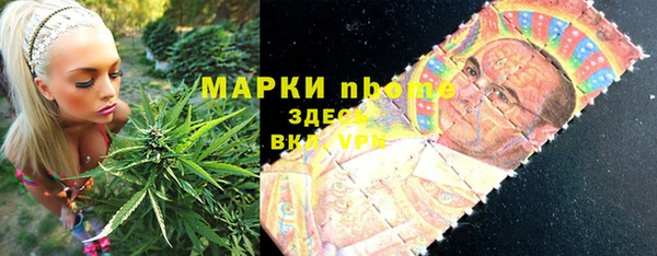 PSILOCYBIN Белокуриха