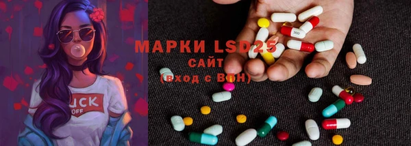 PSILOCYBIN Белокуриха