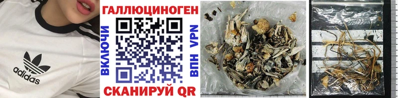 mega ТОР  Курлово  Псилоцибиновые грибы ЛСД 